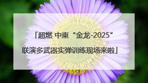 超燃 中柬“金龙-2025”联演多武器实弹训练现场来啦