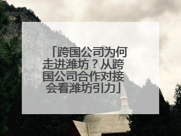 跨国公司为何走进潍坊？从跨国公司合作对接会看潍坊引力