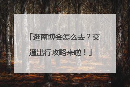 逛南博会怎么去？交通出行攻略来啦！