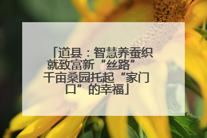 道县：智慧养蚕织就致富新“丝路” 千亩桑园托起“家门口”的幸福