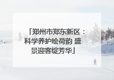 郑州市郑东新区：科学养护绘荷韵 盛景迎客绽芳华