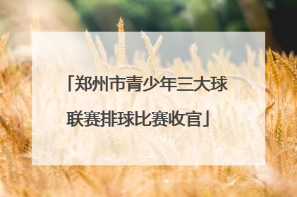 郑州市青少年三大球联赛排球比赛收官
