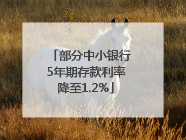 部分中小银行5年期存款利率降至1.2%