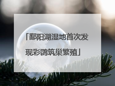 鄱阳湖湿地首次发现彩鹮筑巢繁殖