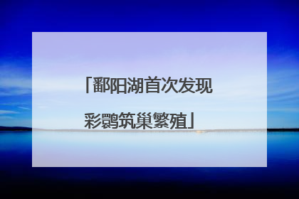 鄱阳湖首次发现彩鹮筑巢繁殖