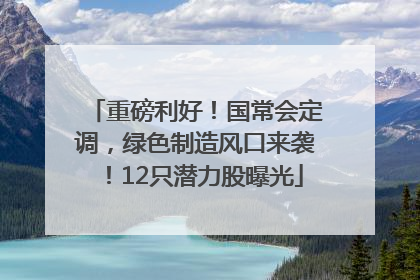 重磅利好！国常会定调，绿色制造风口来袭！12只潜力股曝光