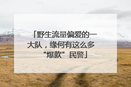 野生流量偏爱的一大队，缘何有这么多“爆款”民警