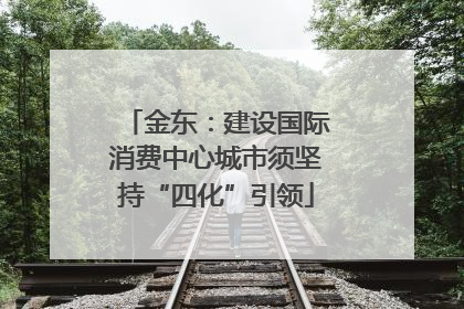 金东：建设国际消费中心城市须坚持“四化”引领