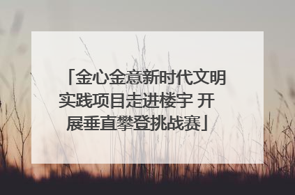 金心金意新时代文明实践项目走进楼宇 开展垂直攀登挑战赛
