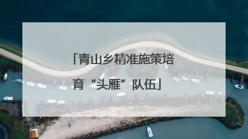 青山乡精准施策培育“头雁”队伍