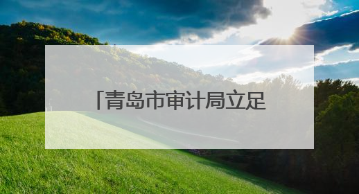 青岛市审计局立足经济监督定位 加快发展新质生产力