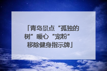 青岛景点“孤独的树”暖心“宠粉” 移除健身指示牌