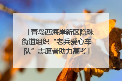 青岛西海岸新区隐珠街道组织“老兵爱心车队”志愿者助力高考