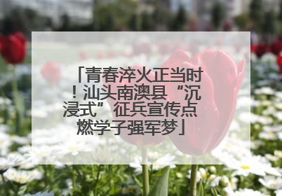 青春淬火正当时！汕头南澳县“沉浸式”征兵宣传点燃学子强军梦