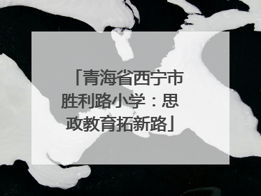 青海省西宁市胜利路小学：思政教育拓新路