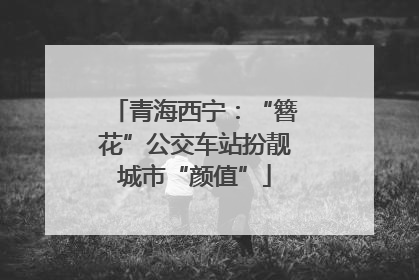 青海西宁：“簪花”公交车站扮靓城市“颜值”
