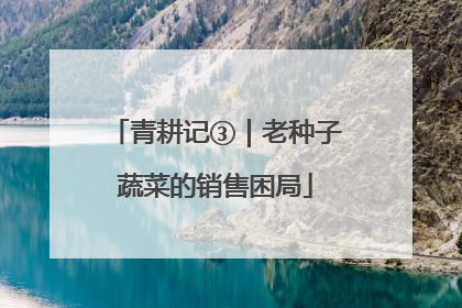 青耕记③｜老种子蔬菜的销售困局