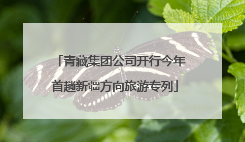 青藏集团公司开行今年首趟新疆方向旅游专列