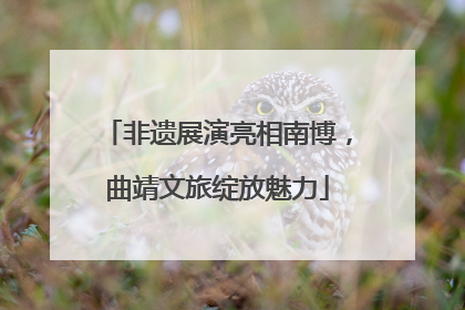 非遗展演亮相南博，曲靖文旅绽放魅力