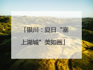银川：夏日“塞上湖城”美如画