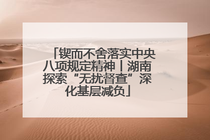 锲而不舍落实中央八项规定精神丨湖南探索“无扰督查”深化基层减负