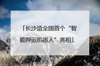 长沙造全国首个“智能押运机器人”亮相