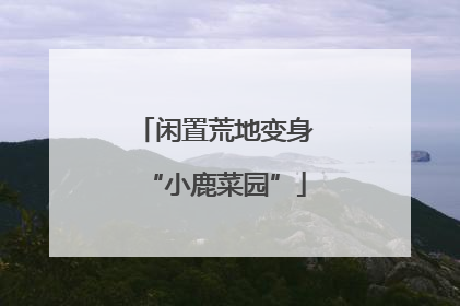 闲置荒地变身“小鹿菜园”
