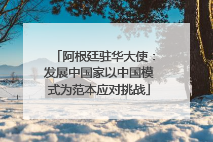 阿根廷驻华大使：发展中国家以中国模式为范本应对挑战