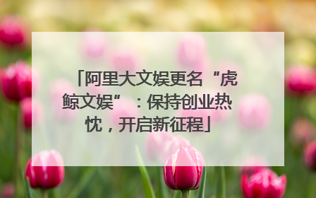 阿里大文娱更名“虎鲸文娱”：保持创业热忱，开启新征程