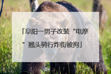阜阳一男子改装“电摩”翘头骑行炸街被拘
