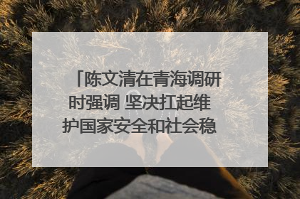 陈文清在青海调研时强调 坚决扛起维护国家安全和社会稳定职责使命 为谱写中国式现代化青海篇章贡献政法力量