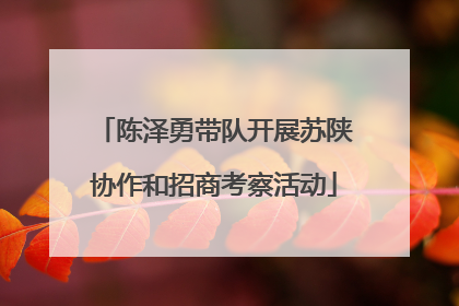 陈泽勇带队开展苏陕协作和招商考察活动