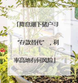 降息潮下储户寻“存款替代”，利率高地有何风险