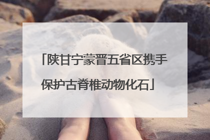 陕甘宁蒙晋五省区携手保护古脊椎动物化石