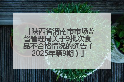陕西省渭南市市场监督管理局关于9批次食品不合格情况的通告（2025年第9期）