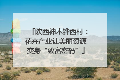 陕西神木铧西村：花卉产业让美丽资源变身“致富密码”