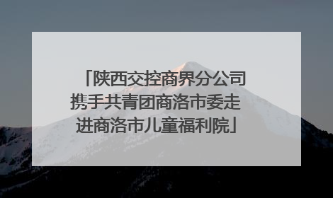 陕西交控商界分公司携手共青团商洛市委走进商洛市儿童福利院