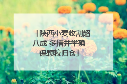 陕西小麦收割超八成 多措并举确保颗粒归仓