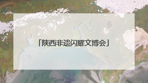 陕西非遗闪耀文博会