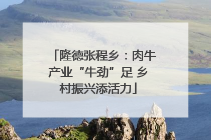 隆德张程乡：肉牛产业“牛劲”足 乡村振兴添活力