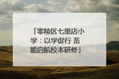 零陵区七里店小学：以学促行 蓄能启航校本研修