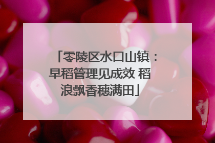 零陵区水口山镇：早稻管理见成效 稻浪飘香穗满田