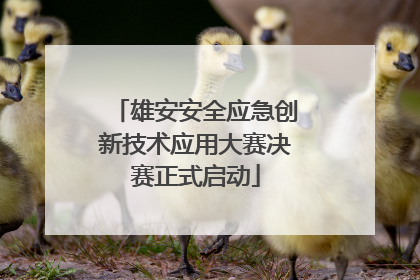 雄安安全应急创新技术应用大赛决赛正式启动