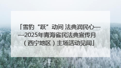雪豹“跃”动间 法典润民心——2025年青海省民法典宣传月（西宁地区）主场活动见闻