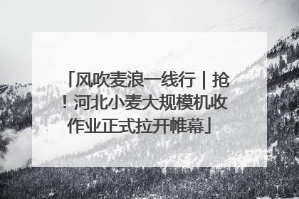 风吹麦浪一线行｜抢！河北小麦大规模机收作业正式拉开帷幕