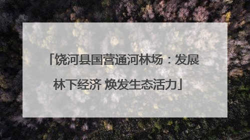 饶河县国营通河林场：发展林下经济 焕发生态活力