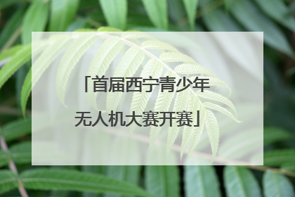 首届西宁青少年无人机大赛开赛