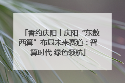 香约庆阳丨庆阳“东数西算”布局未来赛道：智算时代 绿色领航