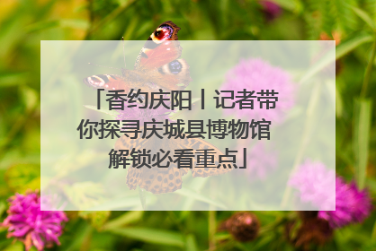 香约庆阳丨记者带你探寻庆城县博物馆 解锁必看重点