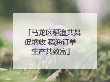 马龙区稻渔共舞促增收 稻渔订单生产共致富